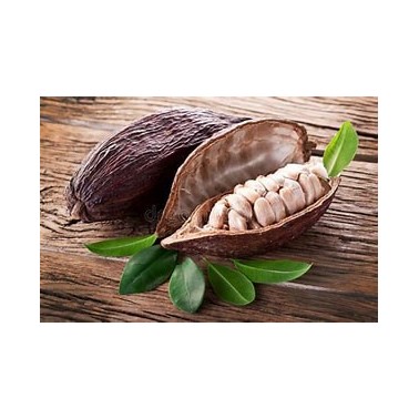 Baume Cacao 50g